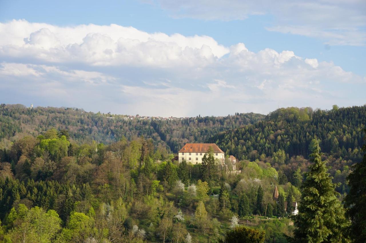 Ferienwohnung Schauinsland Нойенбюрг Экстерьер фото