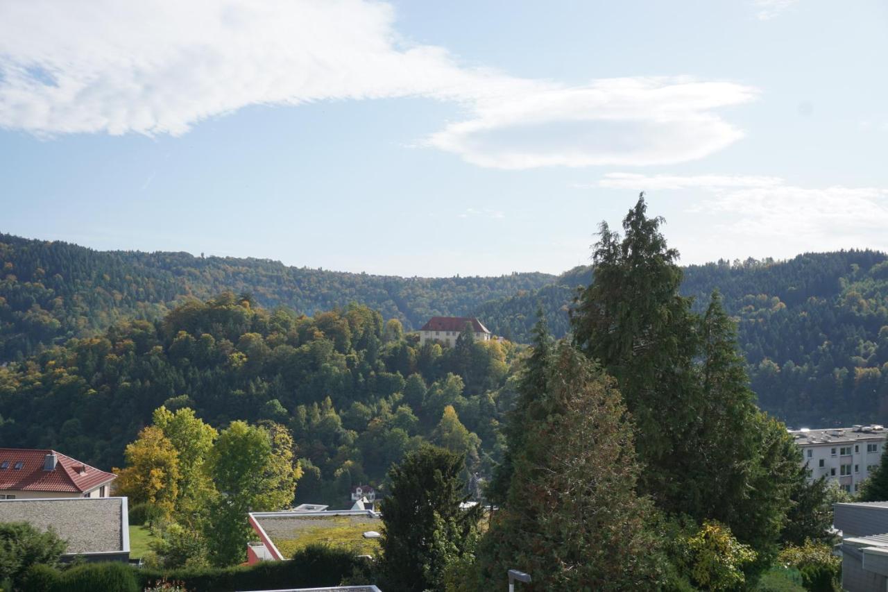 Ferienwohnung Schauinsland Нойенбюрг Экстерьер фото